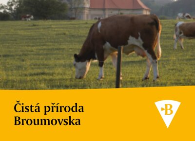 syrarna-broumov-syr-uvod-5.jpg